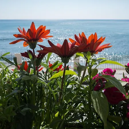 Joanna Flat Дом отдыха